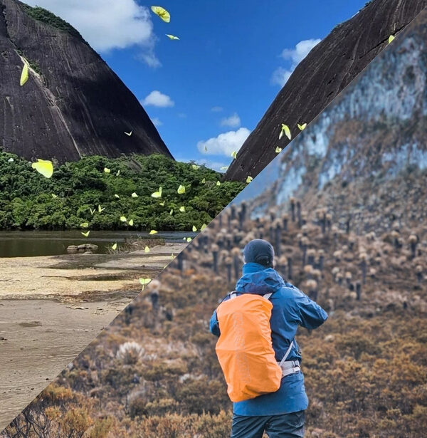 Diverse landscapes in Colombia showing jungle rock formations and high-altitude trekking environments