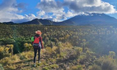 Female Hiker walking through páramo landscape with frailejones toward Nevado del Tolima in Colombia under a bright sky.