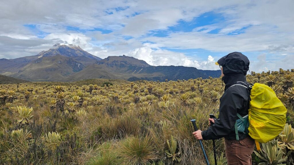 Female Hiker with backpack walking through páramo landscape with frailejones, looking toward Nevado del Tolima in Colombia.