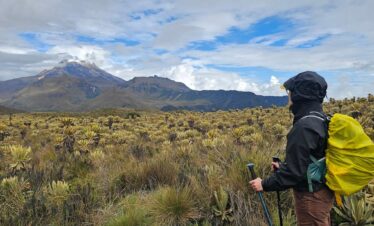 Female Hiker with backpack walking through páramo landscape with frailejones, looking toward Nevado del Tolima in Colombia.