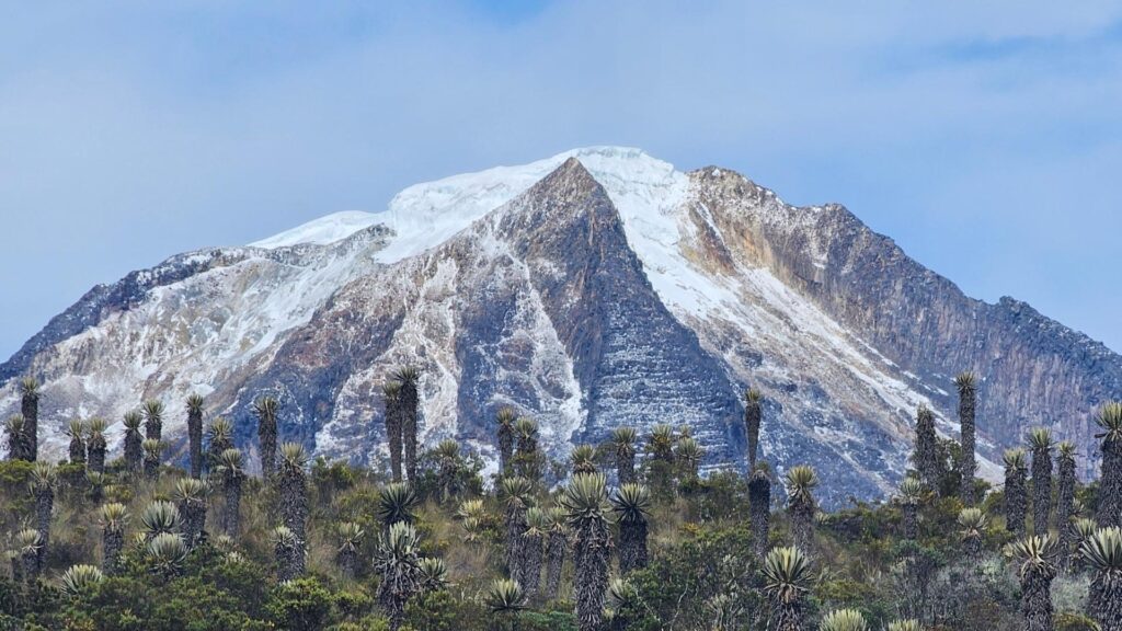 Nevado del Tolima volcano rising above páramo vegetation with frailejones in Colombia.