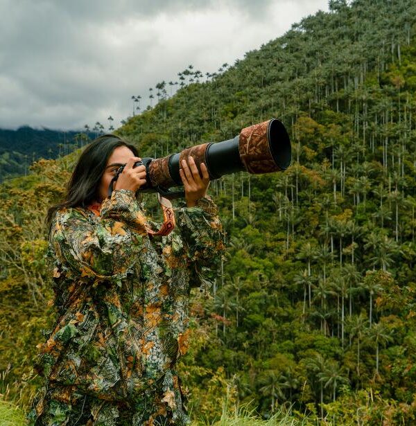 Wildlife photographer birdwatching in Colombia’s cloud forest with wax palms in Toche, near the Cocora Valley, searching for birds and Andean wildlife