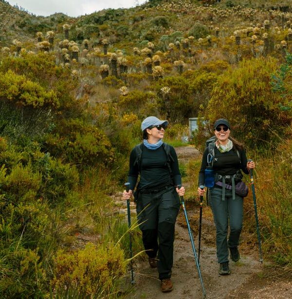 Travelers trekking through Colombia’s páramo ecosystem surrounded by frailejones on a high-altitude Andean hiking trail