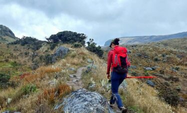 Hiker walking through the páramo ecosystem on the trail to Nevado Santa Isabel in Los Nevados National Natural Park, Colombia.