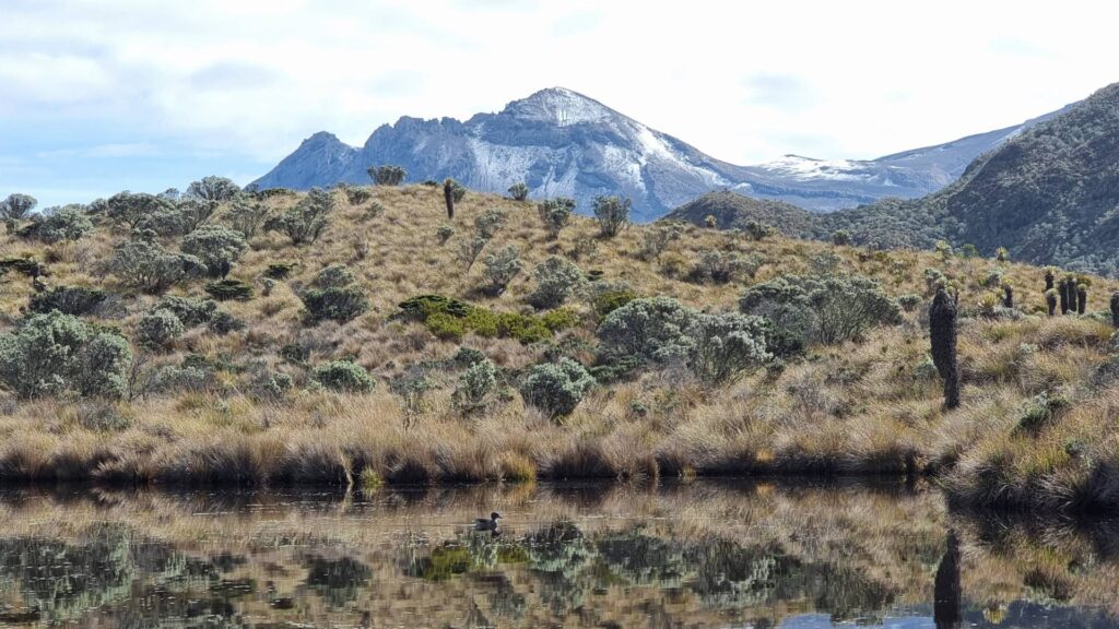 Páramo wetland and lagoon near Nevado Santa Isabel with La Olleta crater in the background, Los Nevados National Natural Park, Colombia.